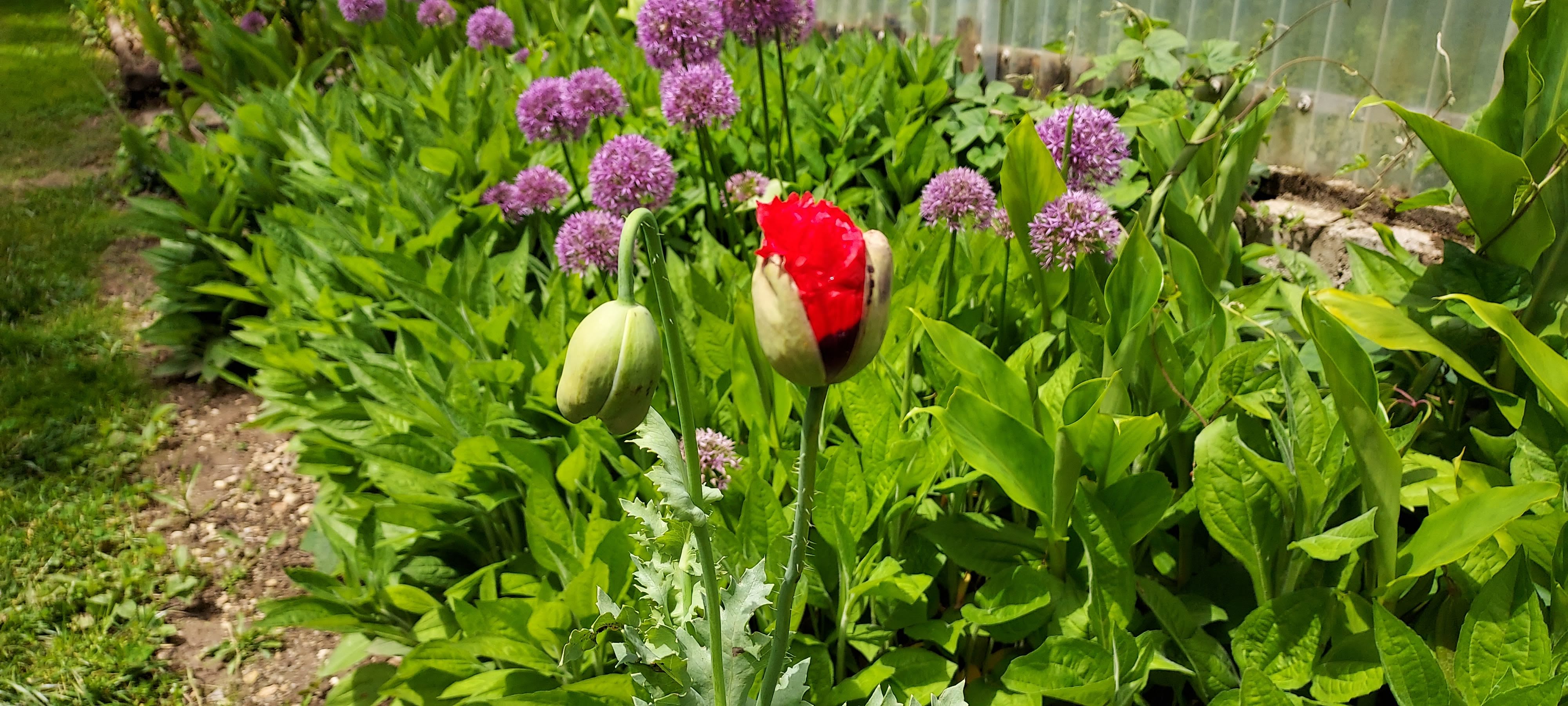 Photo n° 26 de l'avis de Virginie. fait le 23/05/2021 à 15:06
