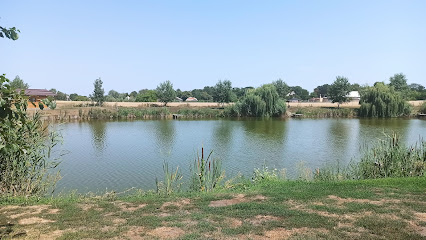 Rybochovný rybník