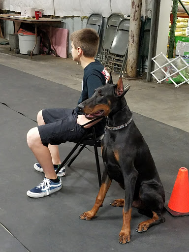 Garden Center «A W Brown Pet & Garden», reviews and photos, 144 Shaker Rd, East Longmeadow, MA 01028, USA