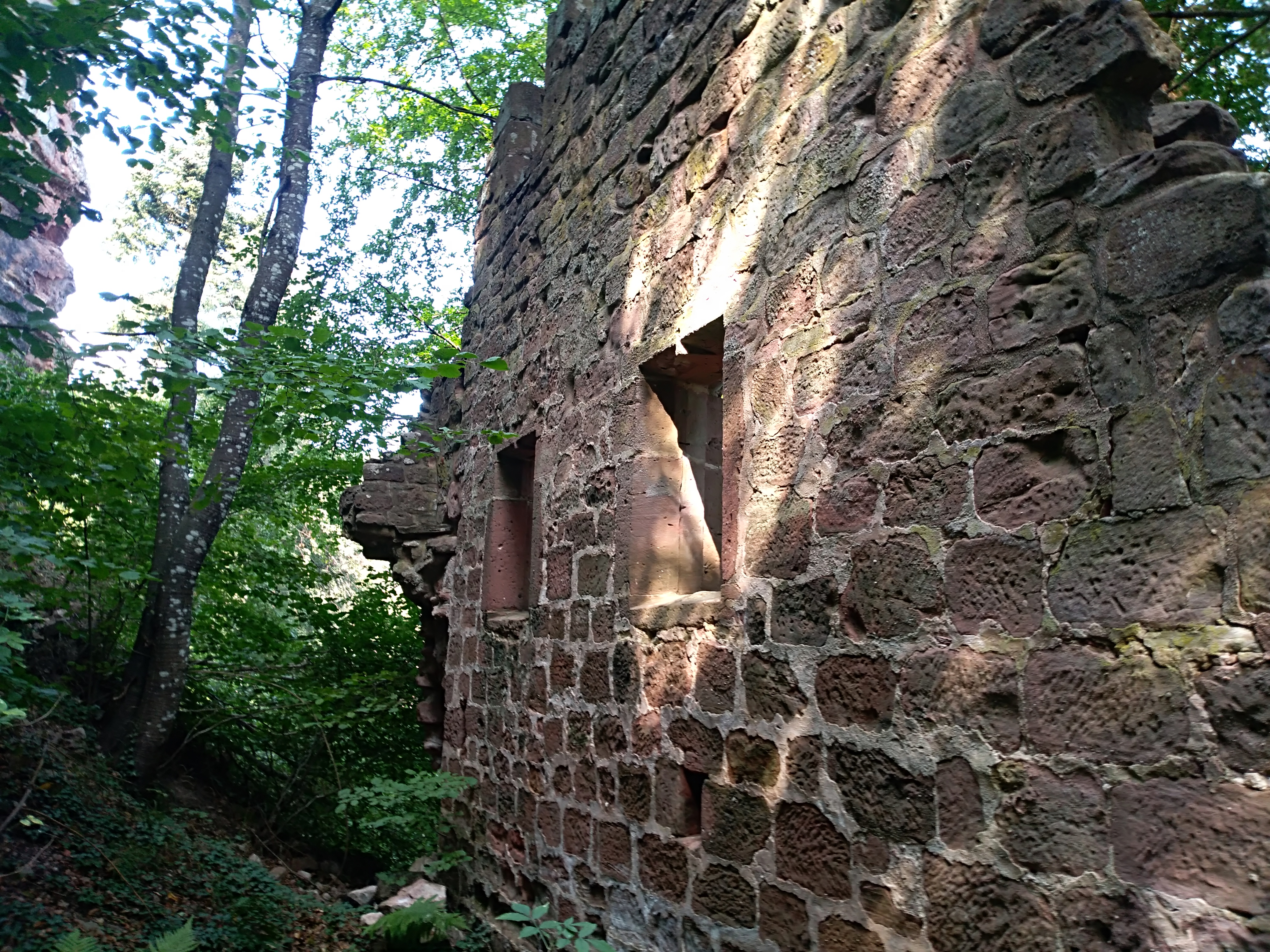 Photo n° 1 de l'avis de Rose.a fait le 26/09/2020 à 17:51