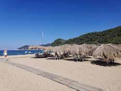 Paralia Megalos Aselinos'in fotoğrafı imkanlar alanı