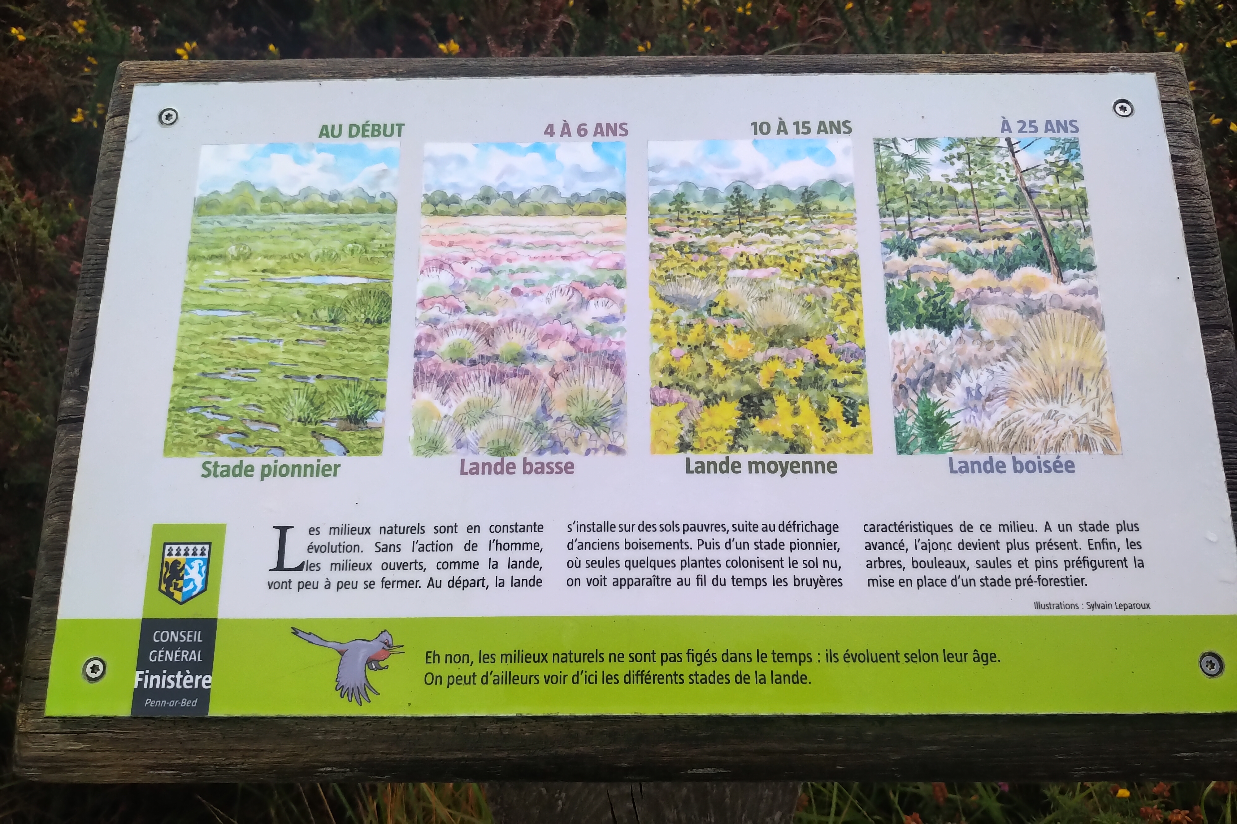 Photo n° 7 de l'avis de Daniel. fait le 25/09/2022 à 08:54