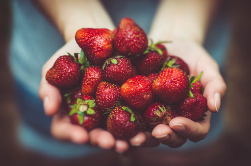 Aliments Merci