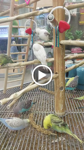 Pet Supply Store «Petco Animal Supplies», reviews and photos, 15475 Annapolis Rd #100, Bowie, MD 20715, USA