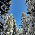 Photo n°19 de l'avis de Carmen.l fait le 06/01/2022 à 17:24 sur le  Laugenalm à Unsere Liebe Frau im Walde-St. Felix