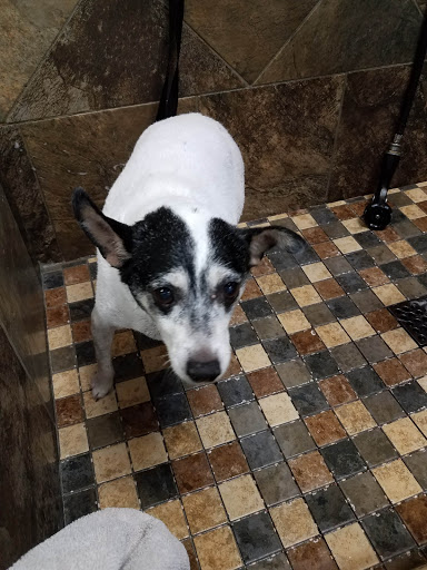 Pet Store «Pet Valu», reviews and photos, 2231 Old Bridge Rd, Lake Ridge, VA 22192, USA