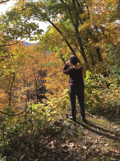 Science Museum «Kentucky Science Center», reviews and photos, 727 W Main St, Louisville, KY 40202, USA
