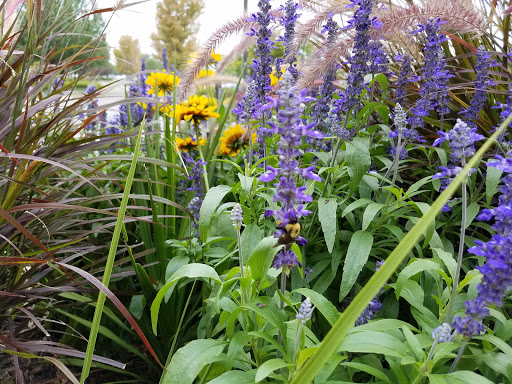 Movie Theater «Cinemark Fort Collins», reviews and photos, 4721 S Timberline Rd, Fort Collins, CO 80525, USA