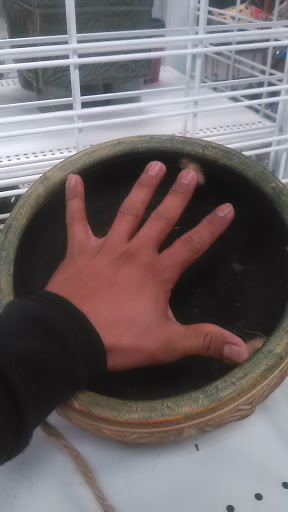 Clothing Store «Ross Dress for Less», reviews and photos, 975 NW Gilman Blvd, Issaquah, WA 98027, USA