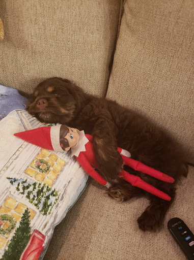 Insurance Agency «Amy Williams - State Farm Insurance Agent», reviews and photos