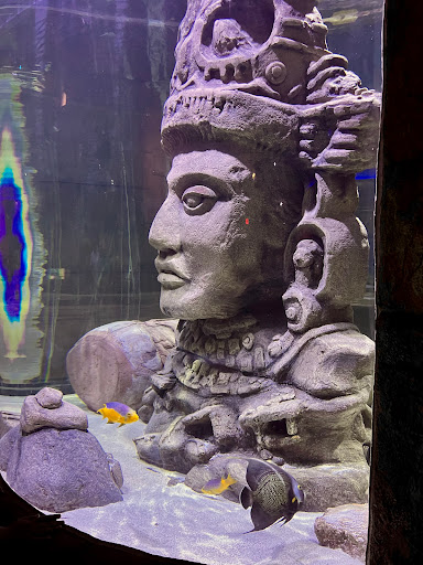 Aquarium «Audubon Aquarium of the Americas», reviews and photos, 1 Canal St, New Orleans, LA 70130, USA