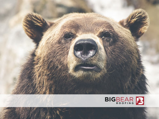 Roofing Contractor «Big Bear Roofing», reviews and photos, 2408 Ashley River Rd s, Charleston, SC 29414, USA