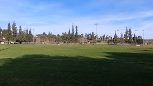 Behringer Park Athletic Facility - photo 99