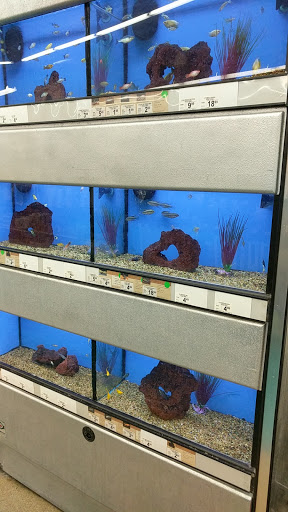 Pet Supply Store «Petco Animal Supplies», reviews and photos, 1933 South Rd, Poughkeepsie, NY 12601, USA