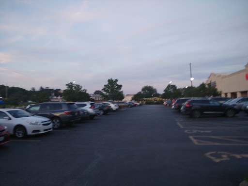 Dollar Store «Dollar Tree», reviews and photos, 13932 Manchester Rd, Ballwin, MO 63011, USA