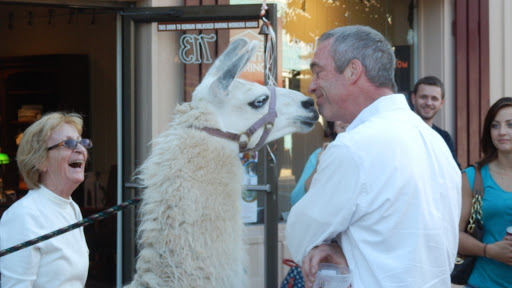 Real Estate Agency «Homes of Manitou Springs», reviews and photos