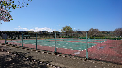 多摩川緑地福生南公園 テニスコート
