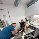 Photo n° 7 de l'avis de Koda. fait le 23/12/2023 à 14:03 pour Clinique vétérinaire Crozatier - Référés, Urgences & Gardes 24h/24 - Paris - Sevetys à Paris