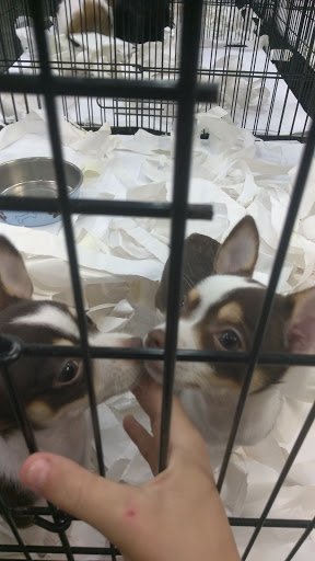 Pet Supply Store «Our Pet World», reviews and photos, 380 Semoran Commerce Pl, Apopka, FL 32703, USA