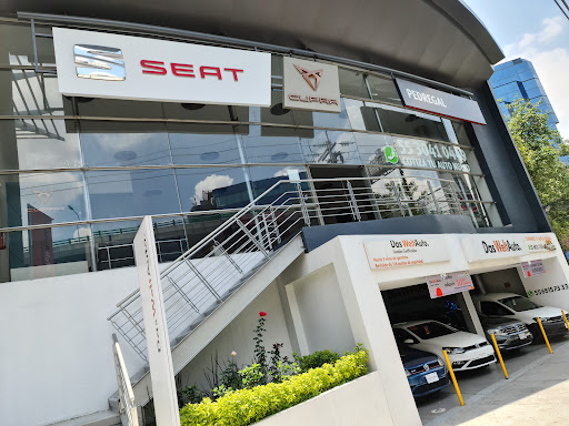 SEAT Pedregal