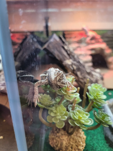 Pet Supply Store «PetSmart», reviews and photos, 5640 Cedar Lake Rd, Minneapolis, MN 55416, USA