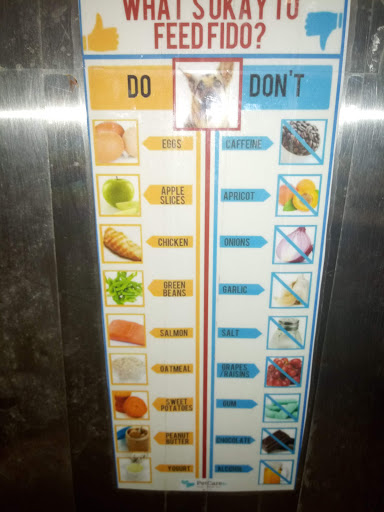 Pet Store «Fish Bowl Aquarium & Pet Mart», reviews and photos, 425 Pleasant St # 21, Fall River, MA 02721, USA