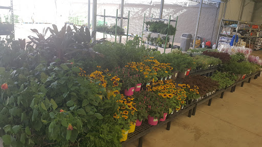 Department Store «Walmart Supercenter», reviews and photos, 9451 FM 1960 Bypass Rd E, Humble, TX 77338, USA