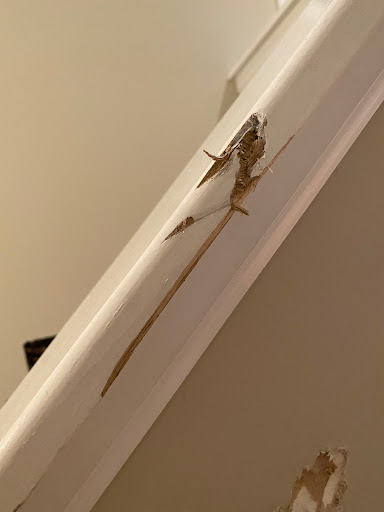 HVAC Contractor «Four Seasons Heating, Air Conditioning, Plumbing, & Electric», reviews and photos