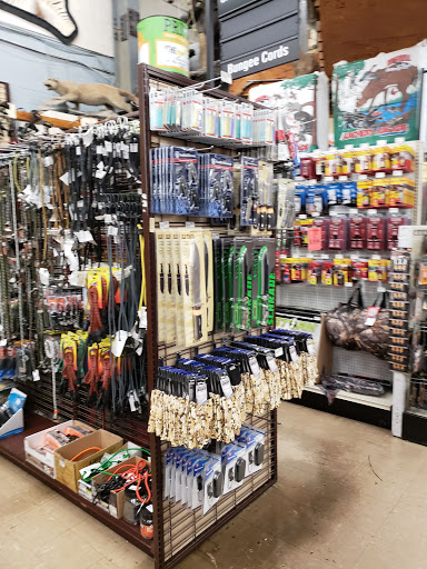 Hardware Store «General Store & Ace Hardware», reviews and photos, 2424 N Division St, Spokane, WA 99207, USA