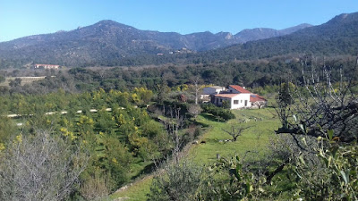 Ambulances Capeille Successeurs SARL à Laroque-des-Albères