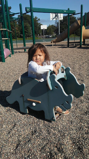 Park «Strachauer Park», reviews and photos, 6200 Beard Ave S, Edina, MN 55410, USA