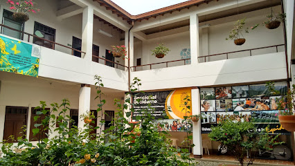 Universidad de Antioquia - Seccional Occidente