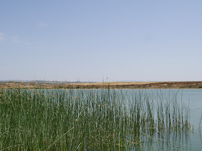 Lago estacional - Pantano de Valdelafuen - Abáigar