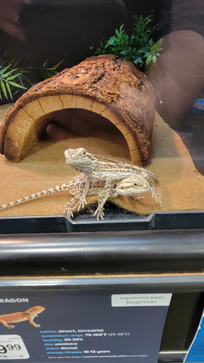 Pet Supply Store «PetSmart», reviews and photos, 482 Stillwater Ave Ste 2A, Bangor, ME 04401, USA