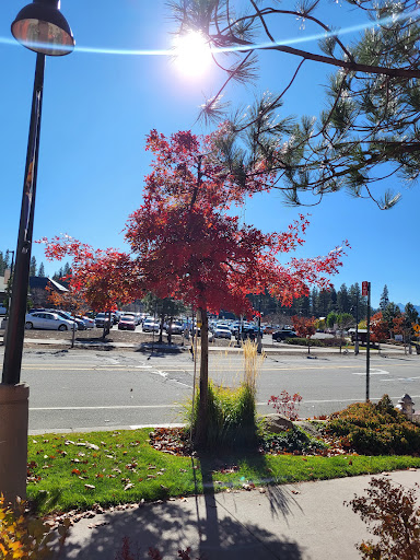 Pacific Crest Gallery image