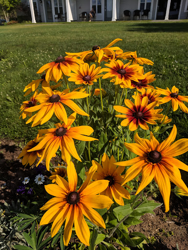 Resort «Sebasco Harbor Resort», reviews and photos, 29 Kenyon Rd, Phippsburg, ME 04562, USA