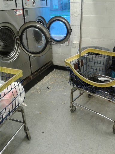 Super Clean Coin Laundry image 4