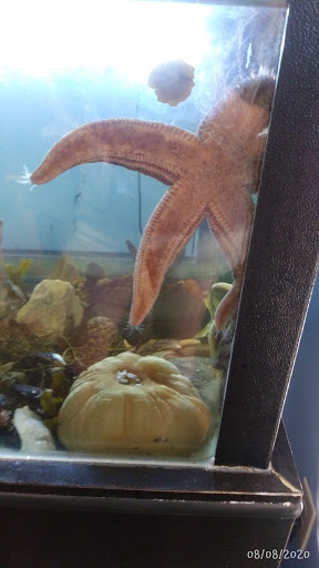 Aquarium «Explore the Ocean World, llc Oceanarium», reviews and photos, 367 Ocean Blvd, Hampton, NH 03842, USA