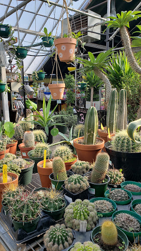 Plant Nursery «Goldner Walsh Garden and Home», reviews and photos, 559 Orchard Lake Rd, Pontiac, MI 48341, USA