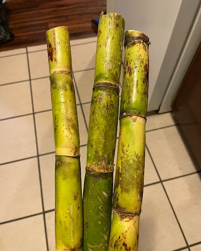 Supermarket «Superfood Marketplace - Allentown, PA», reviews and photos, 704 W Emmaus Ave, Allentown, PA 18103, USA