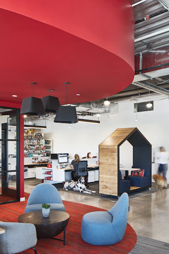 Pet Store «Nulo Pet Food, Inc.», reviews and photos, 3345 Bee Cave Rd, Austin, TX 78746, USA