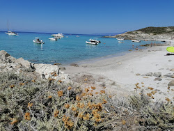Photo de Trave beach avec un niveau de propreté de très propre