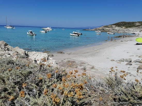 Trave beach