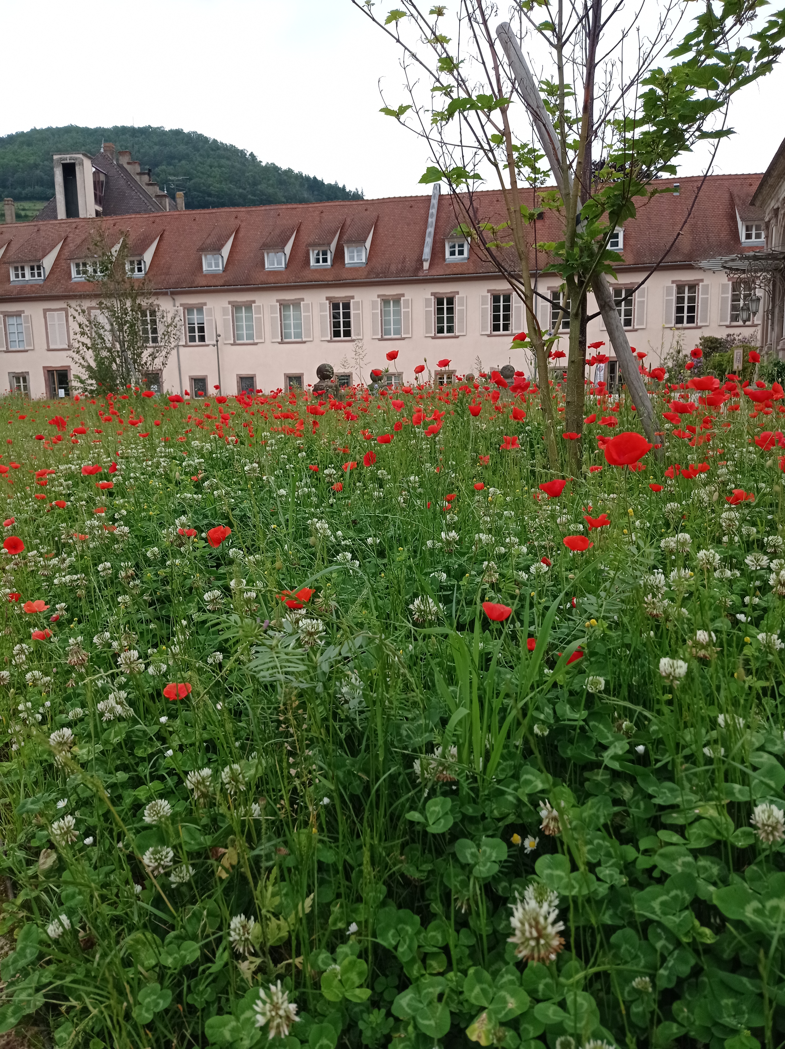 Photo n° 1 de l'avis de Nathaelle.I fait le 22/10/2020 à 11:30