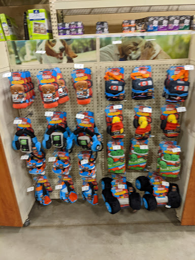 Pet Supply Store «PetSmart», reviews and photos, 1115 Vidina Pl, Oviedo, FL 32765, USA