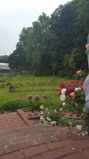Park «Pardee Rose Gardens», reviews and photos, 180 Park Rd, Hamden, CT 06517, USA