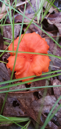 Self-Storage Facility «Middlesex Self Storage», reviews and photos, 5249 Bordentown Ave, Sayreville, NJ 08872, USA