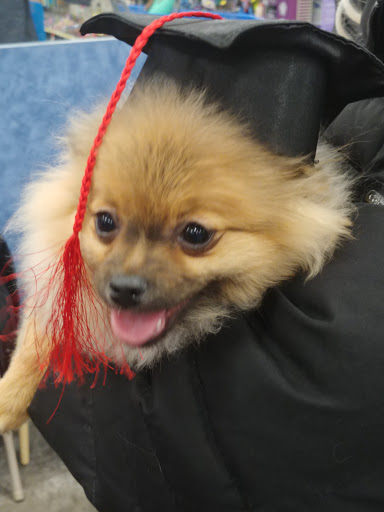 Pet Supply Store «PetSmart», reviews and photos, 8460 Tamarack Village, Woodbury, MN 55125, USA