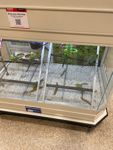 Pet Supply Store «PetSmart», reviews and photos, 6204 W Park Blvd, Plano, TX 75093, USA