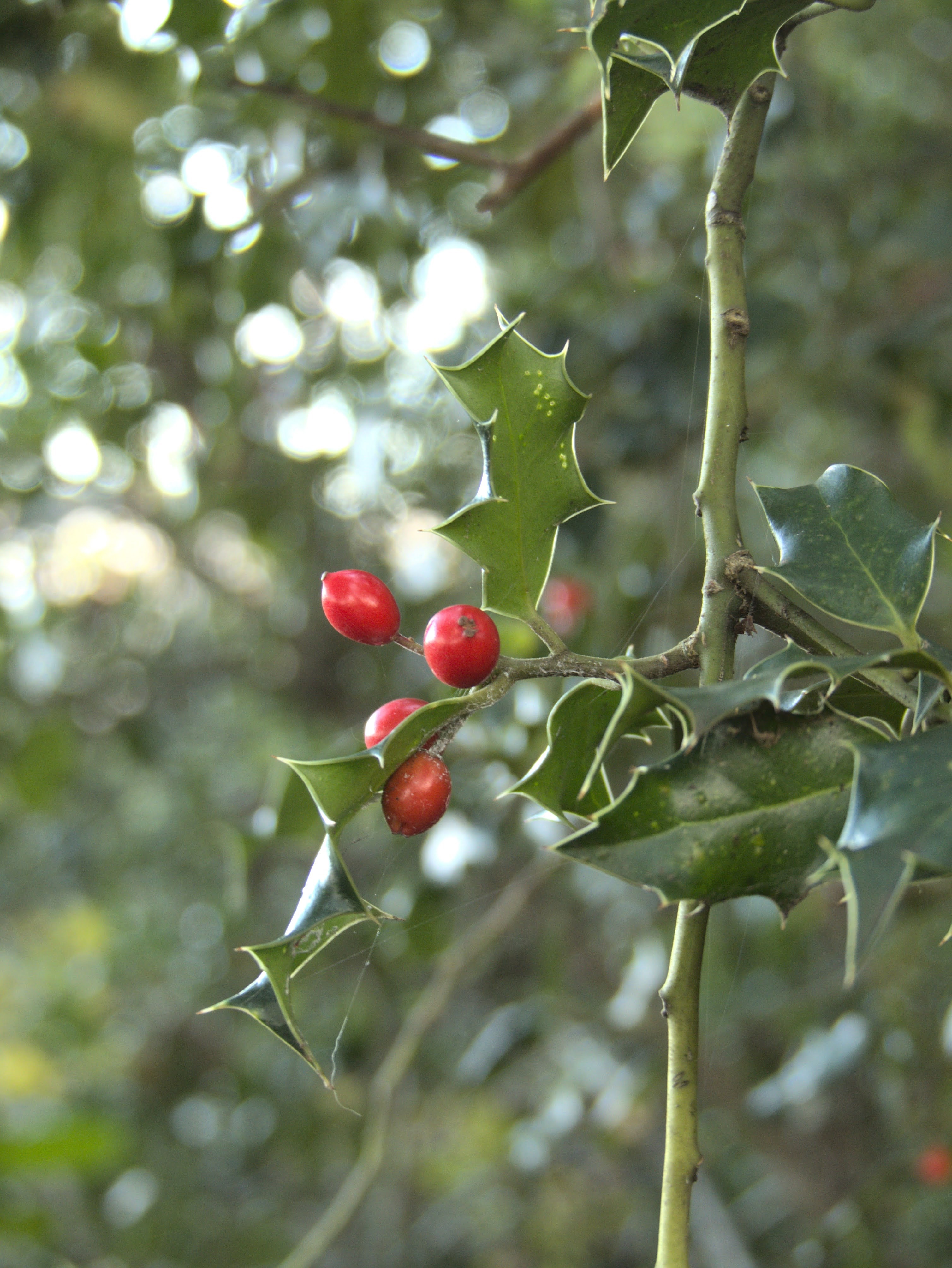 Photo n° 2 de l'avis de Faustin.o fait le 29/10/2020 à 09:41